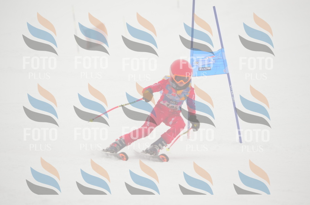 C1583 | holidayphoto