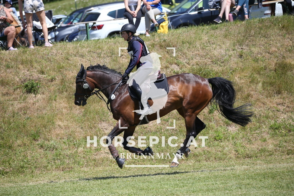 DL2Q0524 | Willkommen bei Brunnmayr - Design & Fotografie – Ihrem Spezialisten für Reitturniere und Pferdeveranstaltungen in Oberösterreich, Salzburg und Bayern! Seit über 17 Jahren sind wir leidenschaftlich dabei.