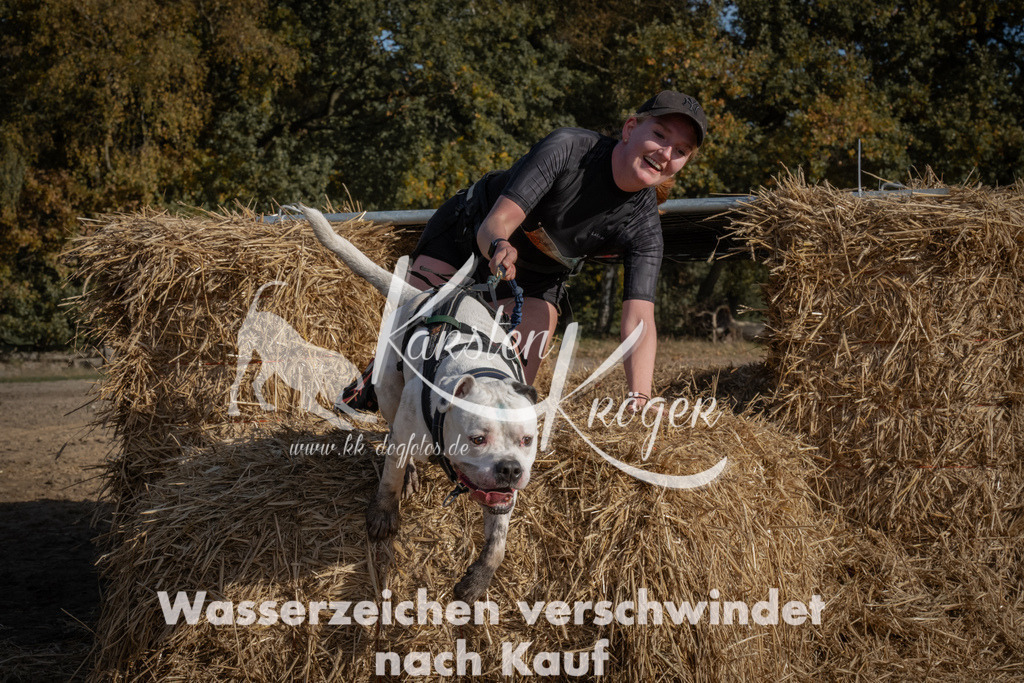 1136_ZZ92189 | kk-dogfotos
