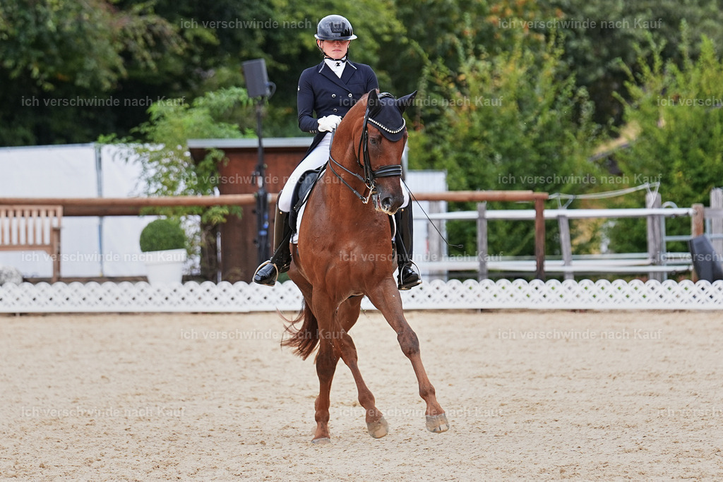 11-141-Dressur S___-Marixx-1823 | working equitationturnier fotograf videograf stoibphotography marixx film working equitation deutschland reitsport turnierfotografie eventfotografie equestrian events
