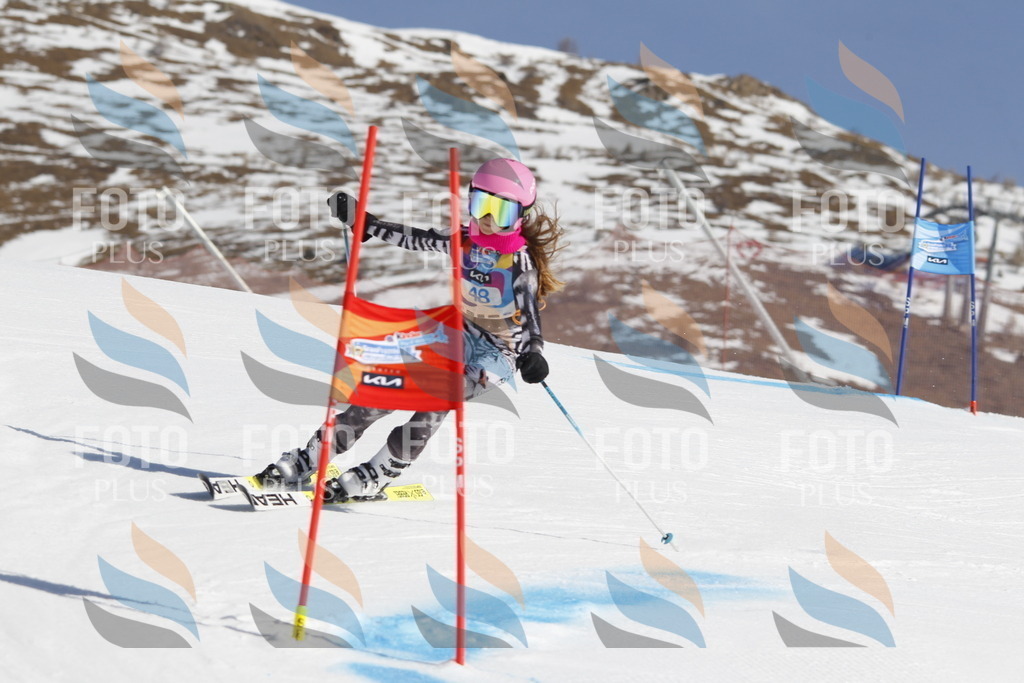 _U3G9368 | holidayphoto