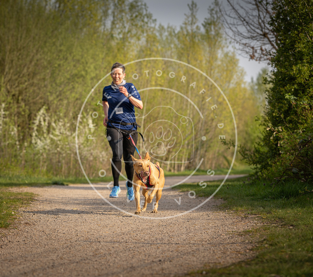 Pfotenfotografie_DV3A4675 | Hundefotografie, Tierfotograf, Pfotenfotografie, Fotoshooting Hund, Hunde Portrait, Hundesport, Hundeportraits, Heideshooting, Hunde, Sportfotograf, Hundefotograf, Turnierhundsport, THS,  - Realisiert mit Pictrs.com