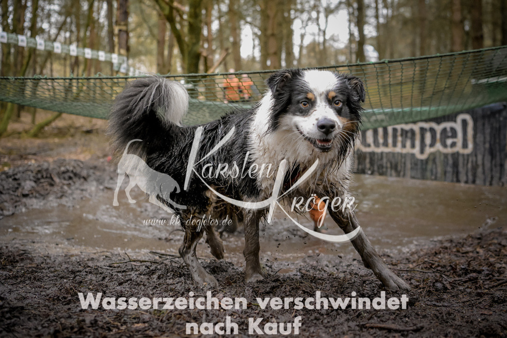 0920_ZZ97409 | kk-dogfotos