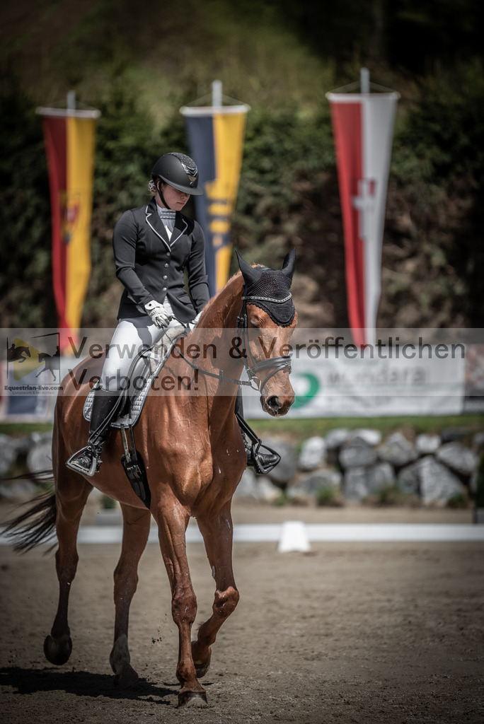 DSC_0742 | equestrian-live-com