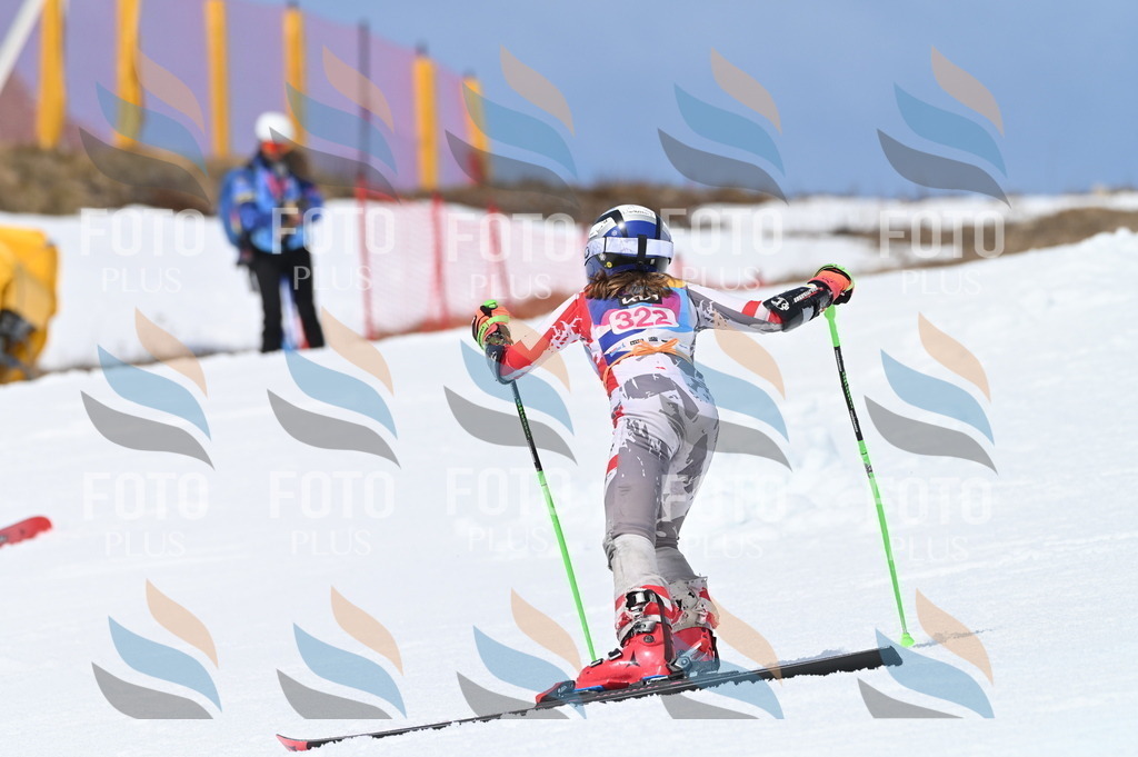 BGV_3146 | holidayphoto