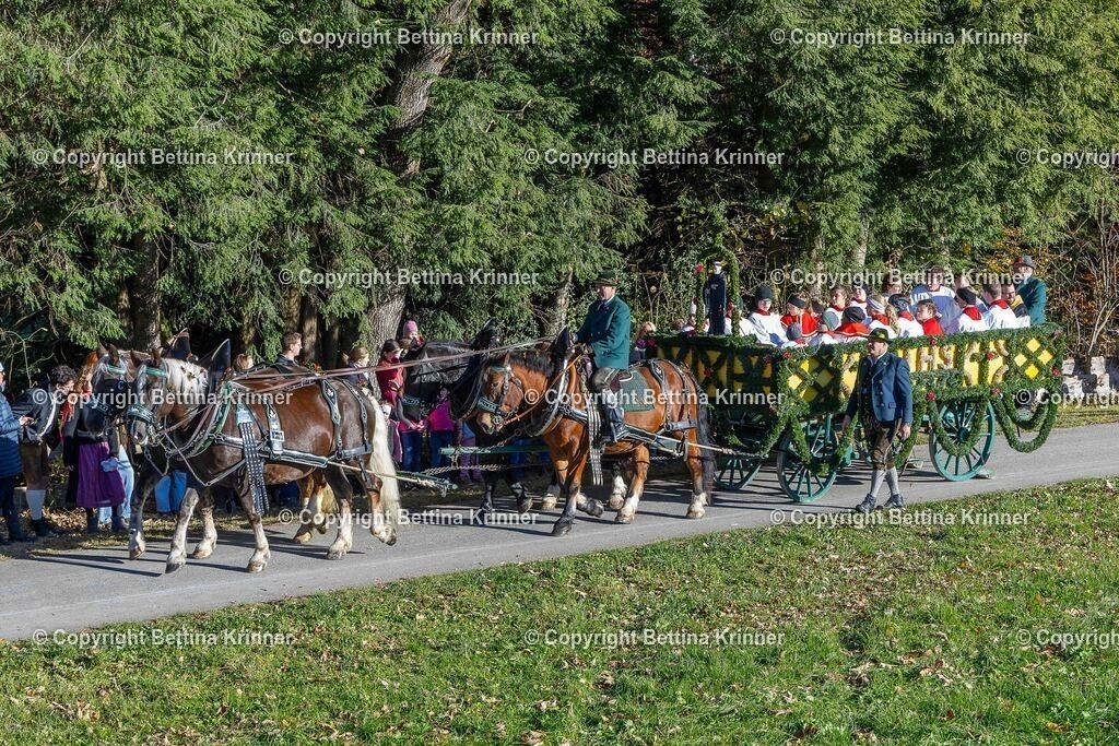 LBT25-44 | foto-bettina-krinner - Realisiert mit Pictrs.com