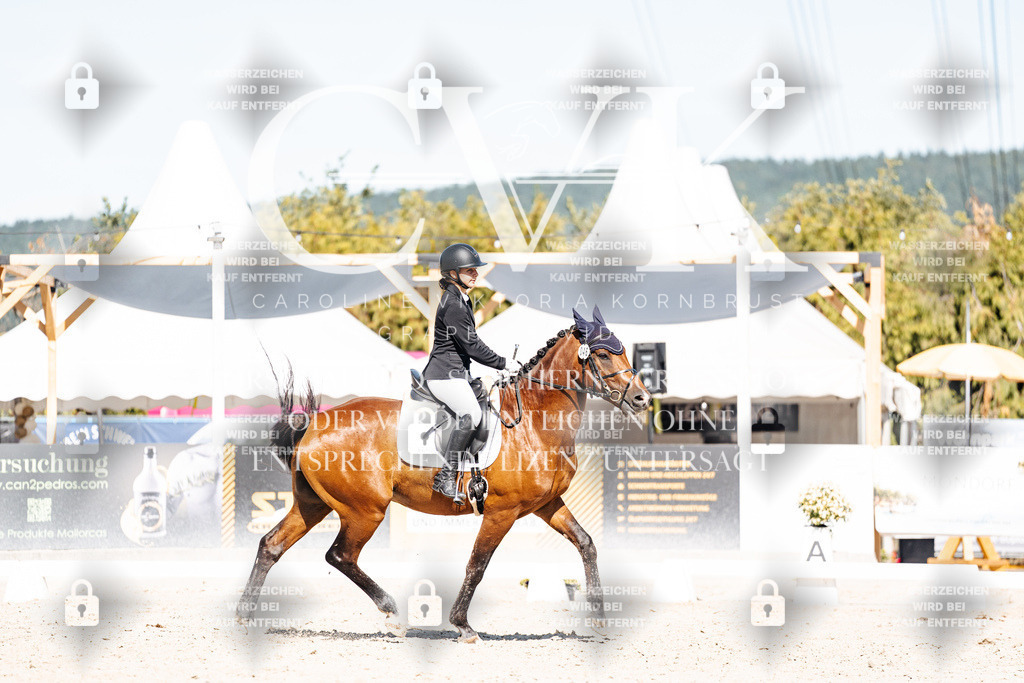 CK908735 | Turnierfotografie Pferdefotografie Trier Rheinland-Pfalz Pferdesport Reitsport Tierfotografie Sportfotografie Pferdevideo Pferdevideografie Equestrianvideography equestrianphotography  - Realisiert mit Pictrs.com