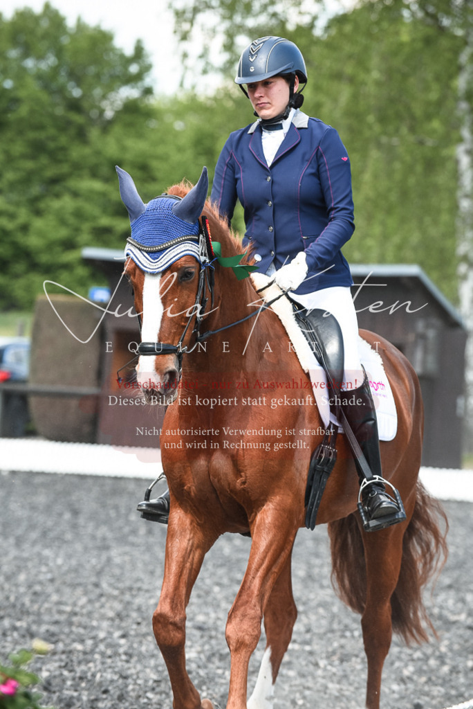 DSC_9086 | Pferde- und Turnierfotografie in Westsachsen. Pferdeportraits, Auftragszeichnungen und intuitive Kunst.