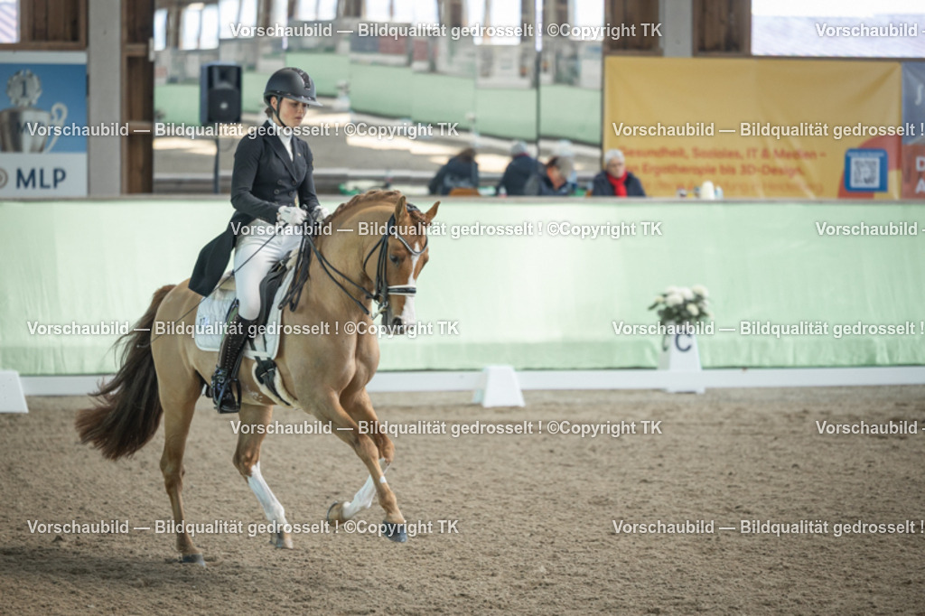 _D5A9423 | Emotionale Pferde- & People-Fotografie rund um Heidelberg, Leimen & Umgebung. Natürliche Fotos von Pferd, Mensch & Familie. Jetzt Termin sichern!