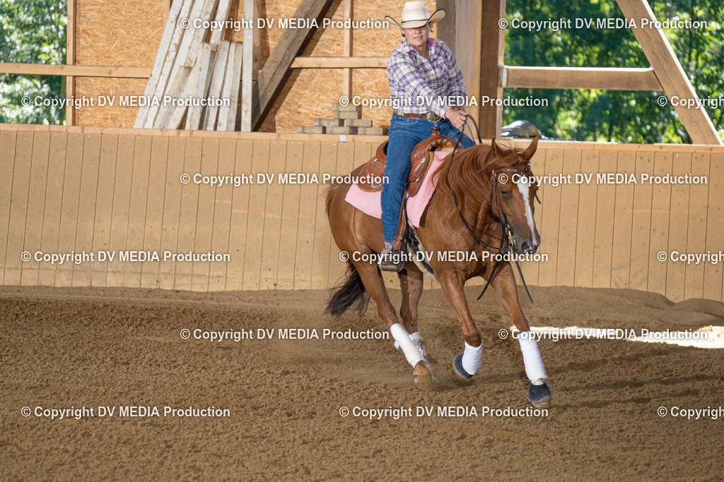 DSC00120 | dv-media-shop - Realisiert mit Pictrs.com