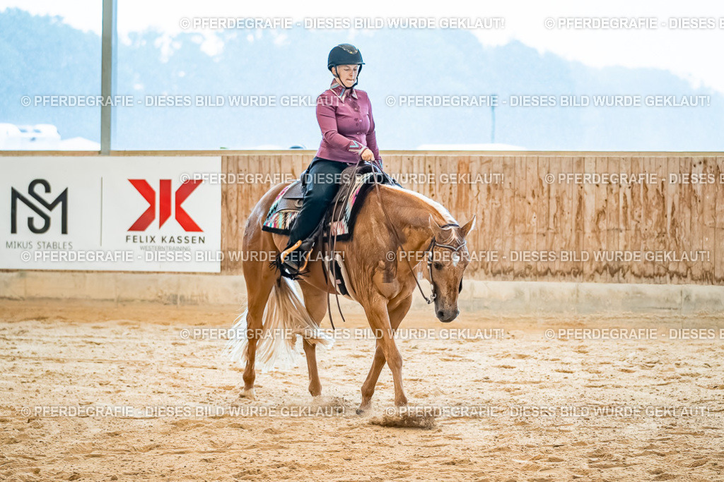 DSC00298 | Pferdegrafie