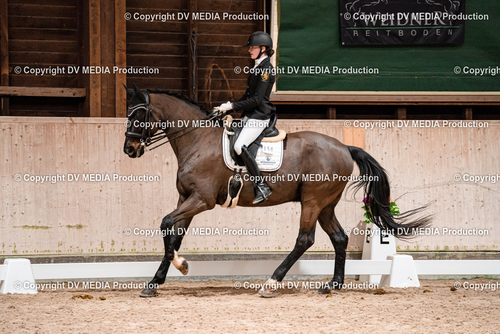 Dressur Tag 3-649 | dv-media-shop - Realisiert mit Pictrs.com