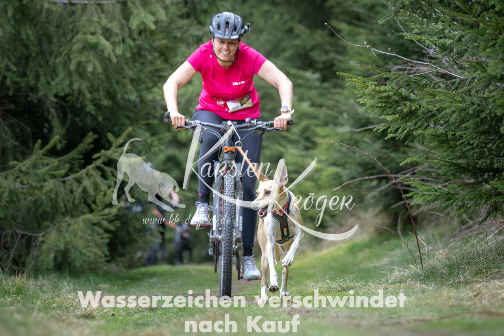 1310_ZZ93788 | kk-dogfotos