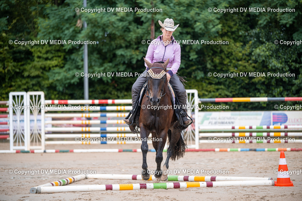 ZS2_3931 | dv-media-shop - Realisiert mit Pictrs.com