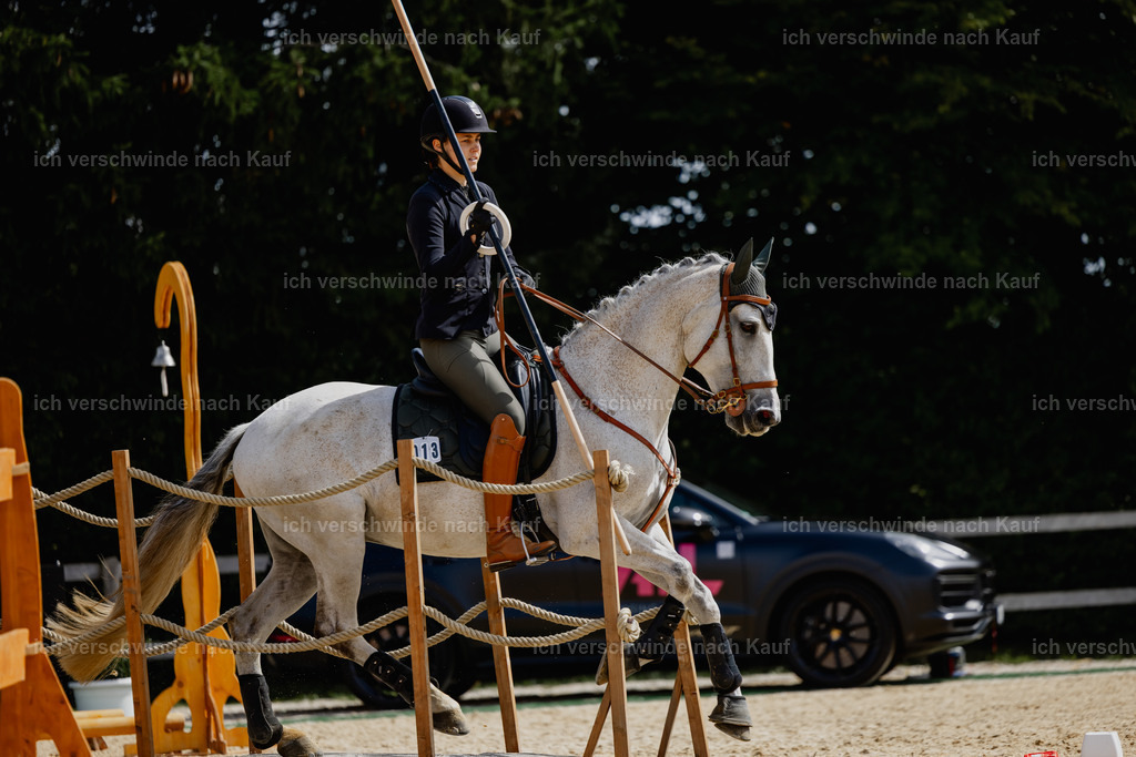 Svea13FHC2025-20464 | working equitationturnier fotograf videograf stoibphotography marixx film working equitation deutschland reitsport turnierfotografie eventfotografie equestrian events