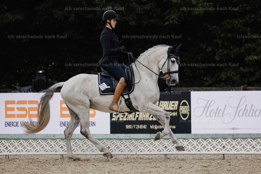 Svea13FHC2025-24655 | working equitationturnier fotograf videograf stoibphotography marixx film working equitation deutschland reitsport turnierfotografie eventfotografie equestrian events