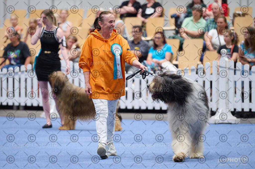 202406_ÖKV-IHA-Tulln24_DSC_2844 | proPHOTO - Realisiert mit Pictrs.com