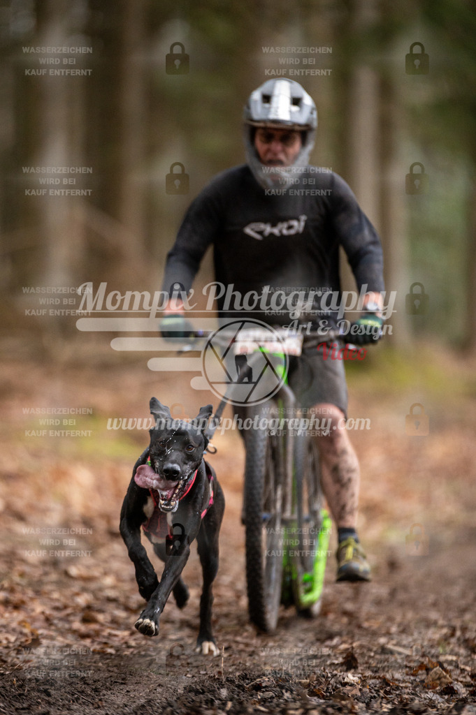 SPA_2023_DIM_Scooter-22 | PayLife