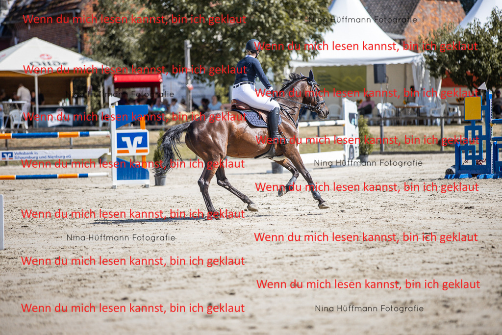 BK1A6838 | Turnierbilder Turnierfotos Nina Hüffmann Turnierfotografie Pferdefotografie Tierzeichnung Haustierzeichnung Pferdezeichnung Hundezeichnung Videograf  - Realisiert mit Pictrs.com