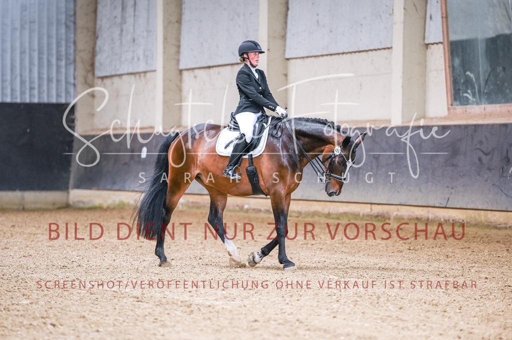 Schugtsche-Aluta25-56.Dressurprf.L1Kand.-88 | Schugtsche Fotografie - Realisiert mit Pictrs.com