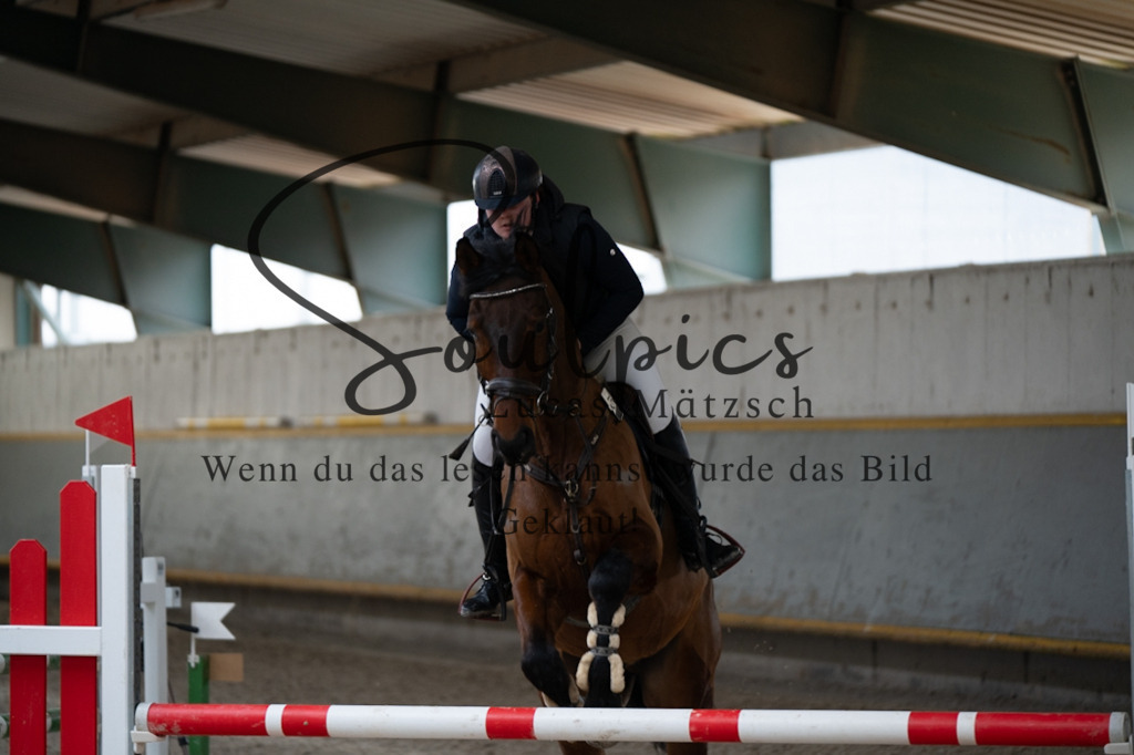 A7V03721 | Pferdefotograf