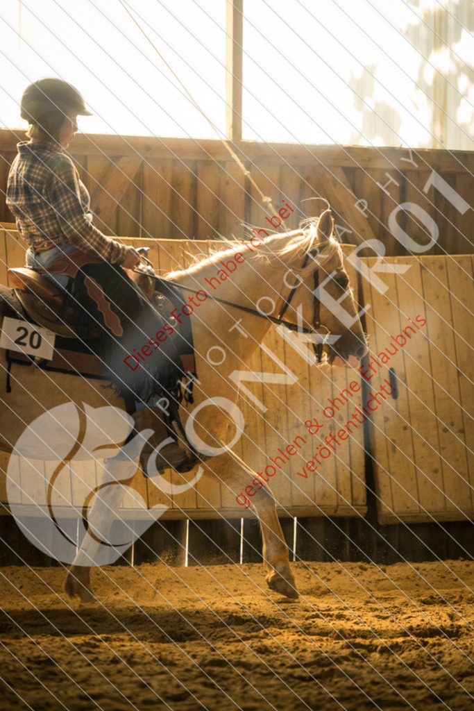 IMG_1851 | Sport-, Event- und Tierfotos in Profiqualität. Einfach auswählen, bestellen und herunterladen. Dein Moment – perfekt festgehalten.