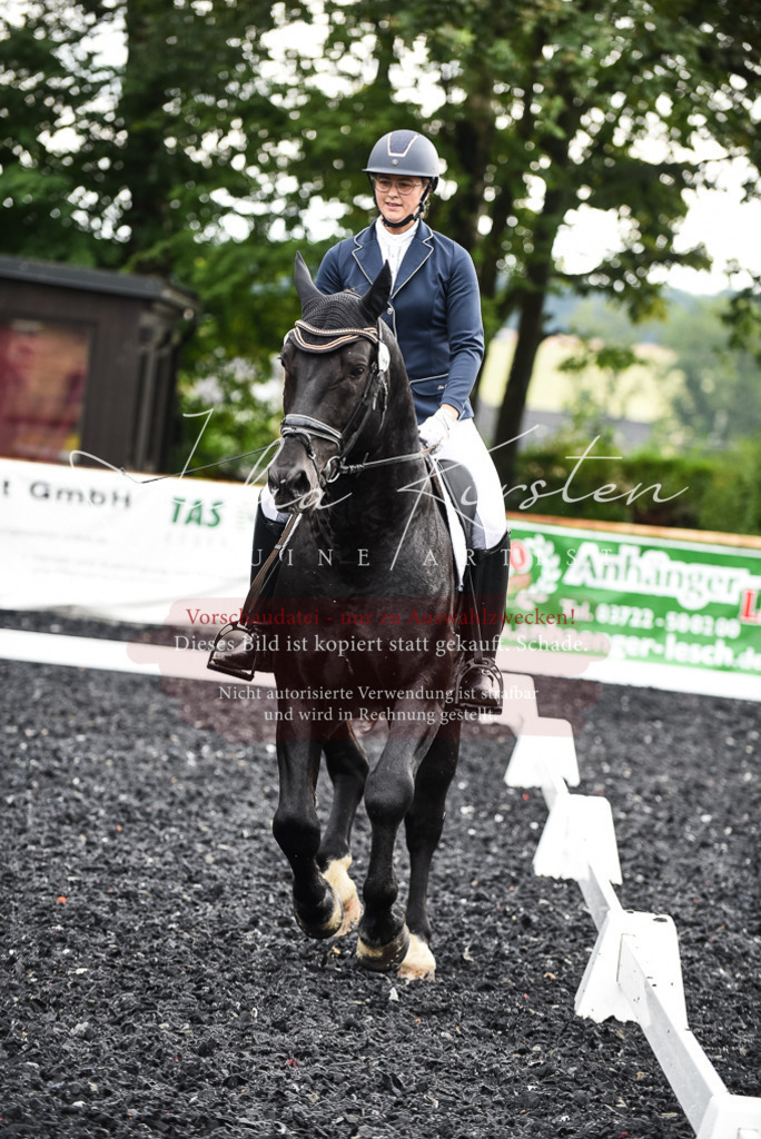 DSC_2865 | Pferde- und Turnierfotografie in Westsachsen. Pferdeportraits, Auftragszeichnungen und intuitive Kunst.