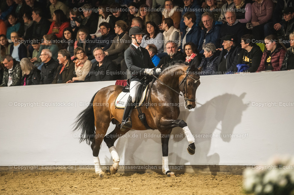 20240302_Hengstvorstellung_Marbach_TOMsPiC_1251 | equistock