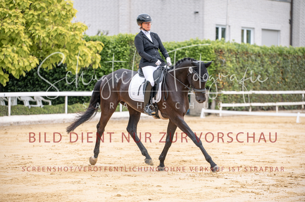 Schugtsche-Aluta25-41.Amat-Dressurprf.A_-34 | Schugtsche Fotografie - Realisiert mit Pictrs.com