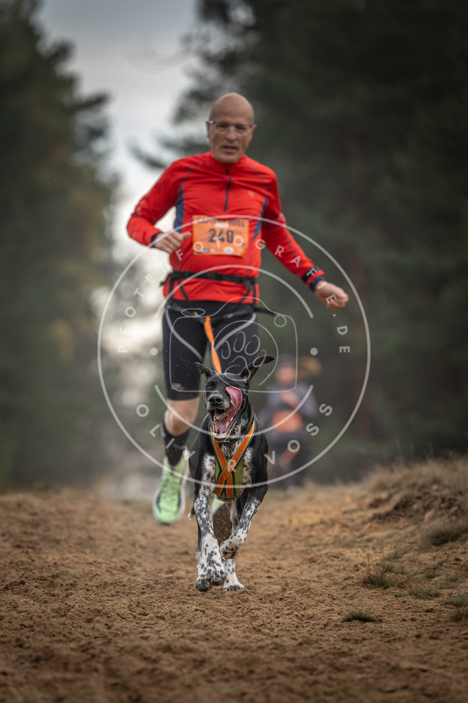 Pfotenfotografie_DV3A5681 | Hundefotografie, Tierfotograf, Pfotenfotografie, Fotoshooting Hund, Hunde Portrait, Hundesport, Hundeportraits, Heideshooting, Hunde, Sportfotograf, Hundefotograf, Turnierhundsport, THS,  - Realisiert mit Pictrs.com