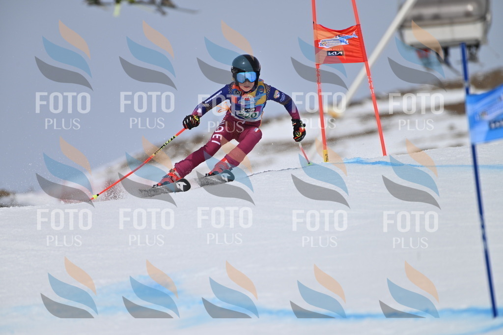 BGV_4297 | holidayphoto