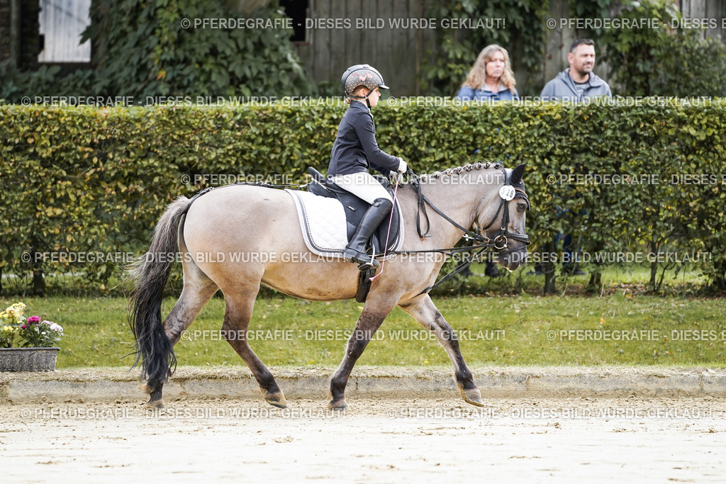 DSC05235 | Pferdegrafie