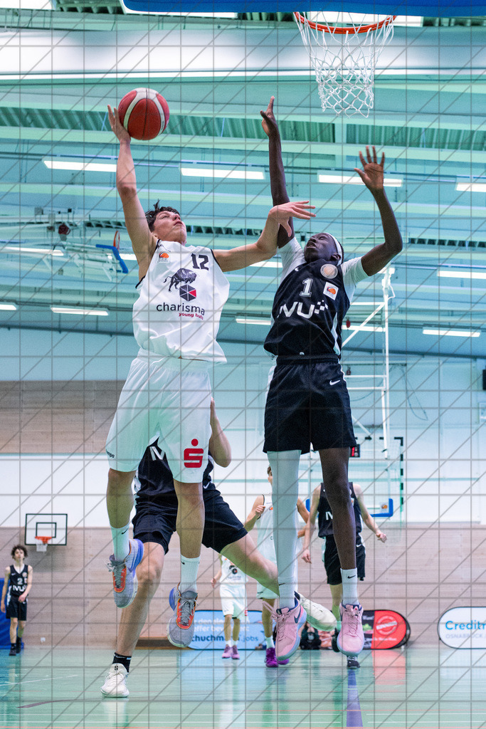 JBBL 24/25 | 12.01.2025 | Charisma Young Bulls vs. Northwestern Basketball Academy | JBBL 24/25 | 12.01.2025 | Charisma Young Bulls vs. Northwestern Basketball Academy - - - - - CREDIT, www.bullenfotos.de, Martin König, Hörner Weg 40, D-49078 Osnabrück, +4917663732967, Nutzung und Weitergabe nur zu den vereinbarten Zwecken. Presseanfragen an Urheber. Alle Rechte beim Urheber. - - - - - - Realisiert mit Pictrs.com