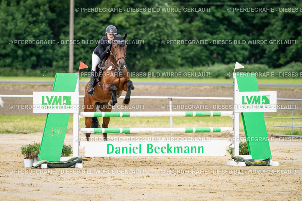 DSC03852 | Pferdegrafie