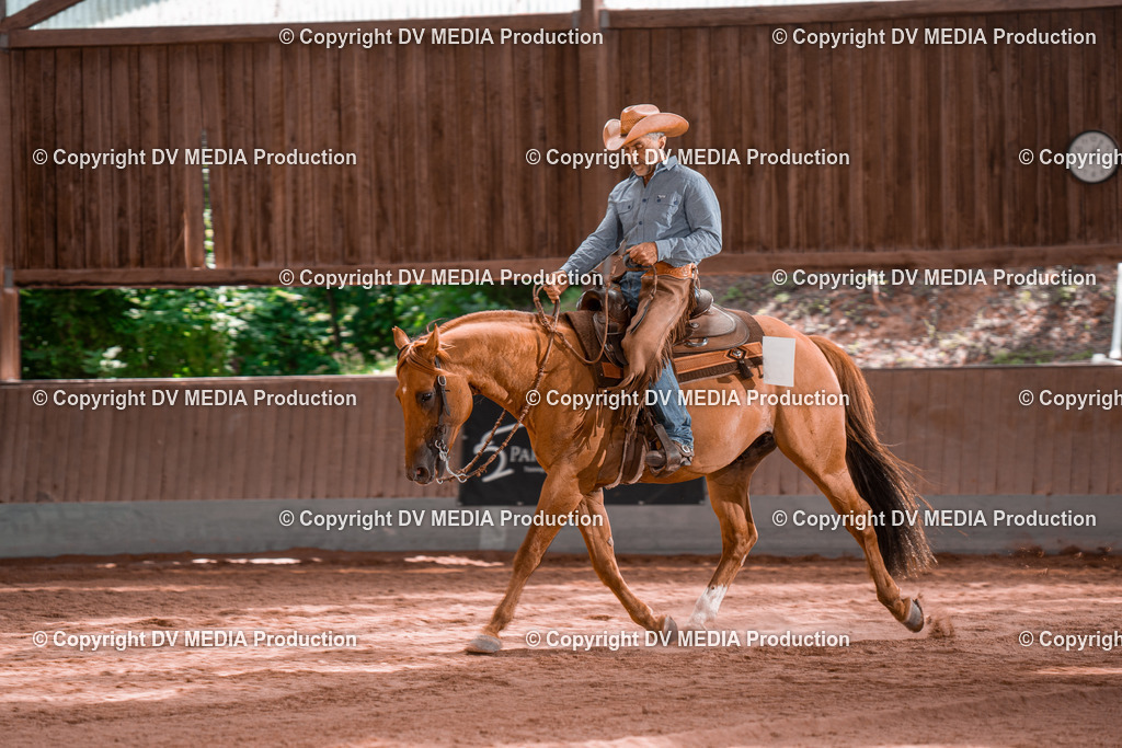 NE100717 | dv-media-shop - Realisiert mit Pictrs.com