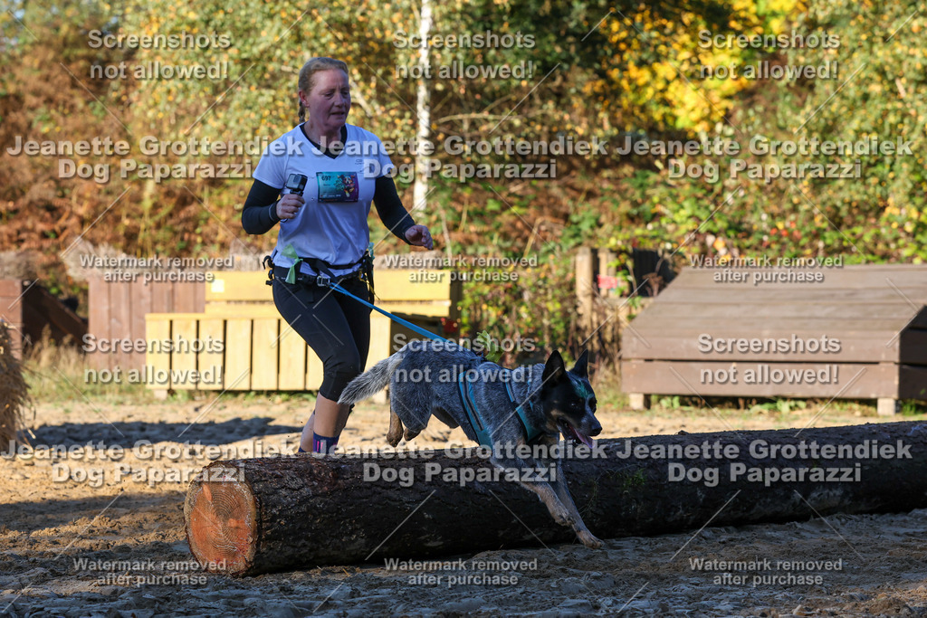 Dog Paparazzi - Strongdog 10-25-1036 | Dog Paparazzi Jeanette Grottendiek Fotografie & Videografie - Realisiert mit Pictrs.com