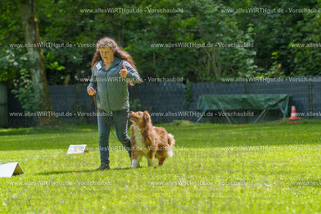 @allesWIRTHgut_Tierfotografie - www.allesWIRTHgut.de - 7R500856 | Professionelle Tierfotografie in Mönchengladbach von Daniel Wirth (allesWIRTHgut). Liebevolle & natürliche Bilder von Hunden & Katzen für unvergessliche Erinnerungen.
