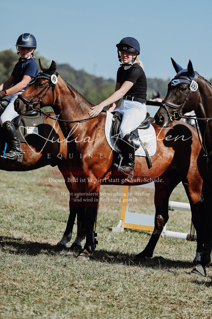DSC_0097 | Pferde- und Turnierfotografie in Westsachsen. Pferdeportraits, Auftragszeichnungen und intuitive Kunst.