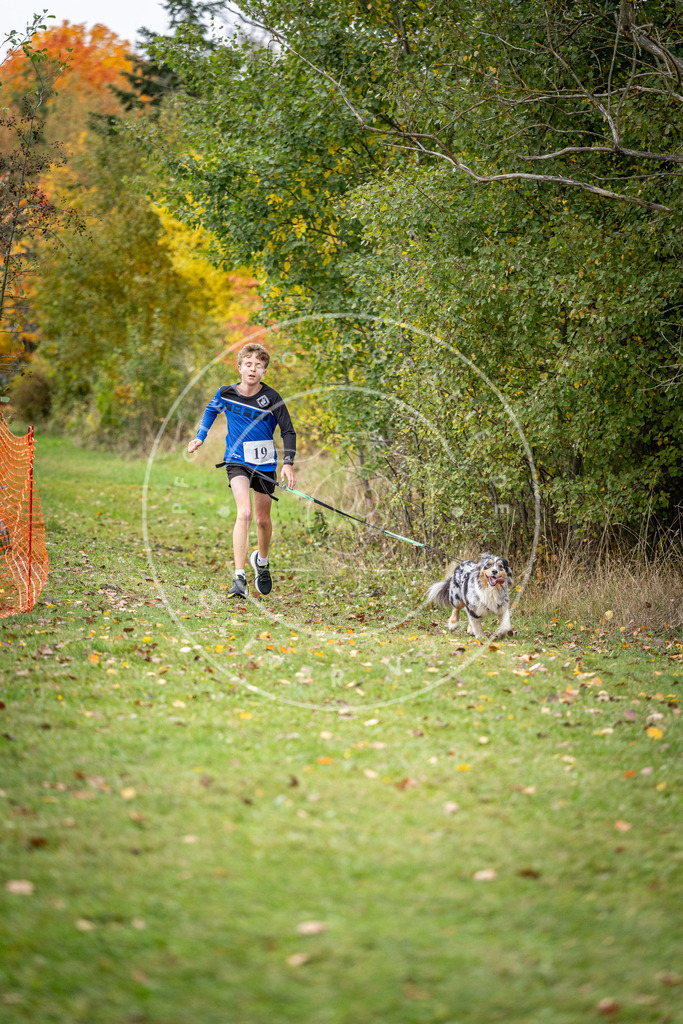 Pfotenfotografie_DV3A1911 | Hundefotografie, Tierfotograf, Pfotenfotografie, Fotoshooting Hund, Hunde Portrait, Hundesport, Hundeportraits, Heideshooting, Hunde, Sportfotograf, Hundefotograf, Turnierhundsport, THS,  - Realisiert mit Pictrs.com