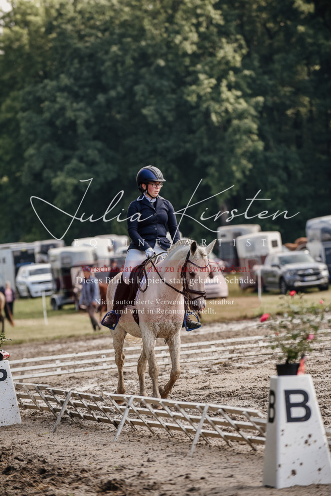 DSC_8054 | Pferde- und Turnierfotografie in Westsachsen. Pferdeportraits, Auftragszeichnungen und intuitive Kunst.