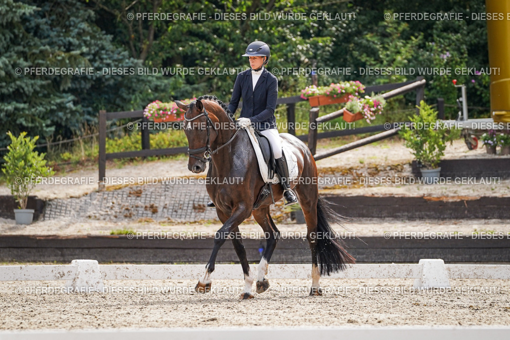 DSC07702 | Pferdegrafie