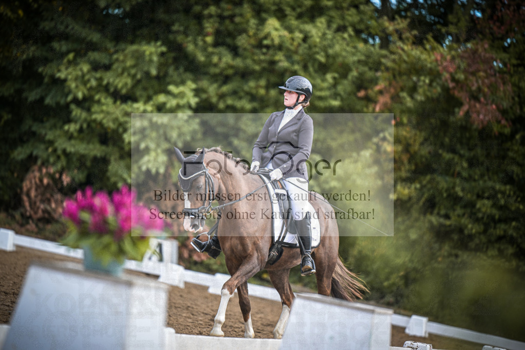 DOS_2093 | Entdecke hochwertige Reitturnierfotos von Foto Oger. Professionell, emotional und authentisch – jetzt Lieblingsmomente im Shop bestellen.Deutschlandweite Turnierfotografie. - Realisiert mit Pictrs.com