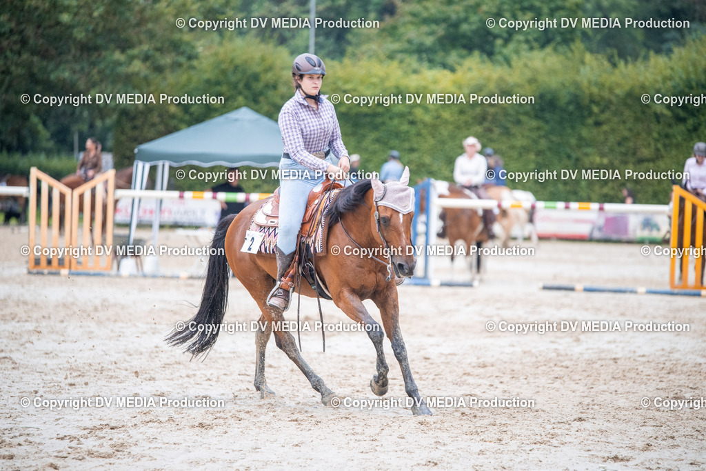 ZS2_4176 | dv-media-shop - Realisiert mit Pictrs.com