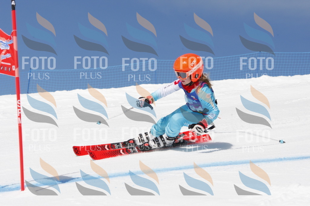 _W1G1386 | holidayphoto