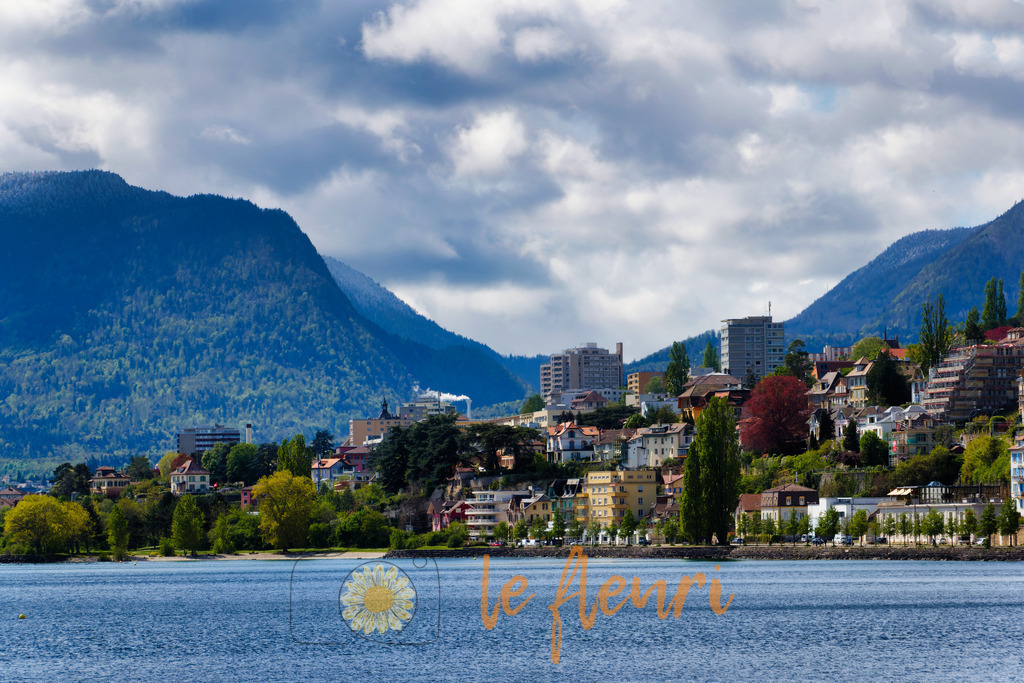 DSC_0099-NEF_DxO_DeepPRIME (1) | Dies ist der Shop von Florian Blum - le fleuri. Langenthal, Bern, SchweizSie können hier meine oder ihre eigenen Fotos als Fotoprodukte kaufen. Tassen, Schlüsselanhänger, Taschen etc. können Sie hier gestalten.  - Realisiert mit Pictrs.com