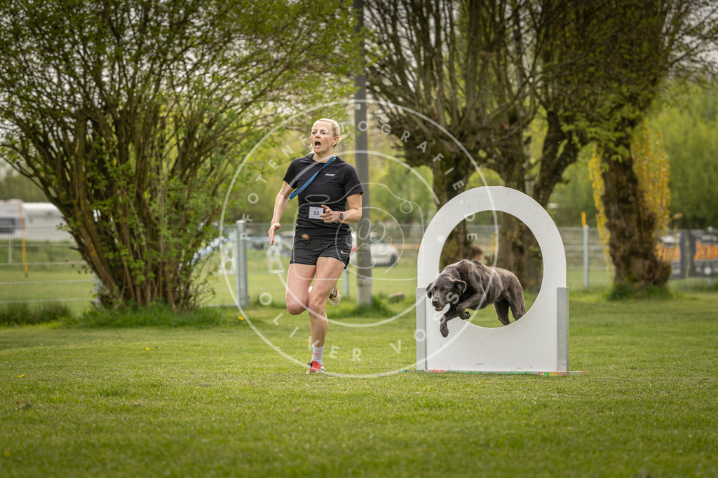 Pfotenfotografie_DV3A6776 | Hundefotografie, Tierfotograf, Pfotenfotografie, Fotoshooting Hund, Hunde Portrait, Hundesport, Hundeportraits, Heideshooting, Hunde, Sportfotograf, Hundefotograf, Turnierhundsport, THS,  - Realisiert mit Pictrs.com
