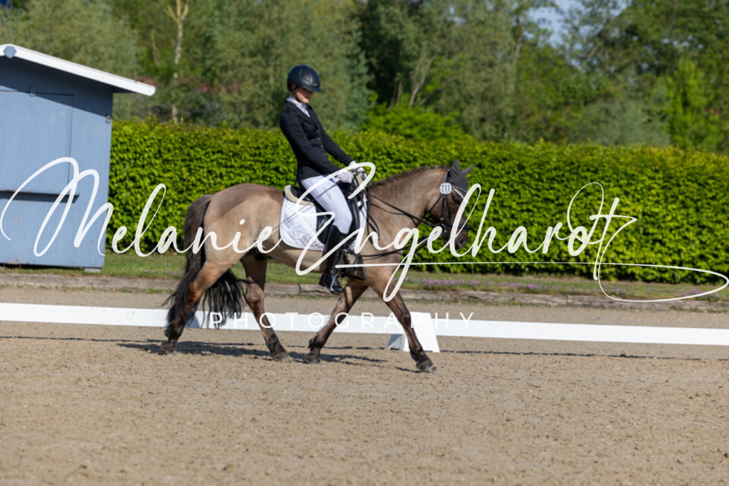 7I8A2250 | melanie-engelhardt-photography - Realisiert mit Pictrs.com