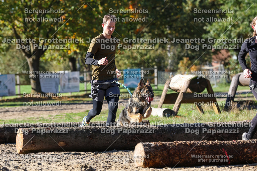 Dog Paparazzi - Strongdog 10-25-2363 | Dog Paparazzi Jeanette Grottendiek Fotografie & Videografie - Realisiert mit Pictrs.com