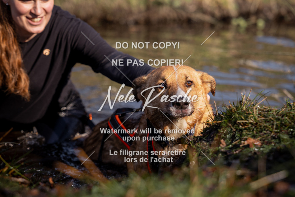 nelerasche_FS0900-1000_147 | nelerasche