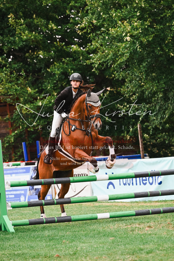 DSC_6648 | Pferde- und Turnierfotografie in Westsachsen. Pferdeportraits, Auftragszeichnungen und intuitive Kunst.